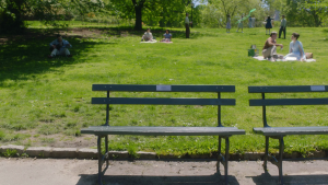Harry's Bench Harry's Bench