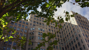 Lenox Hill Hospital Lenox Hill Hospital